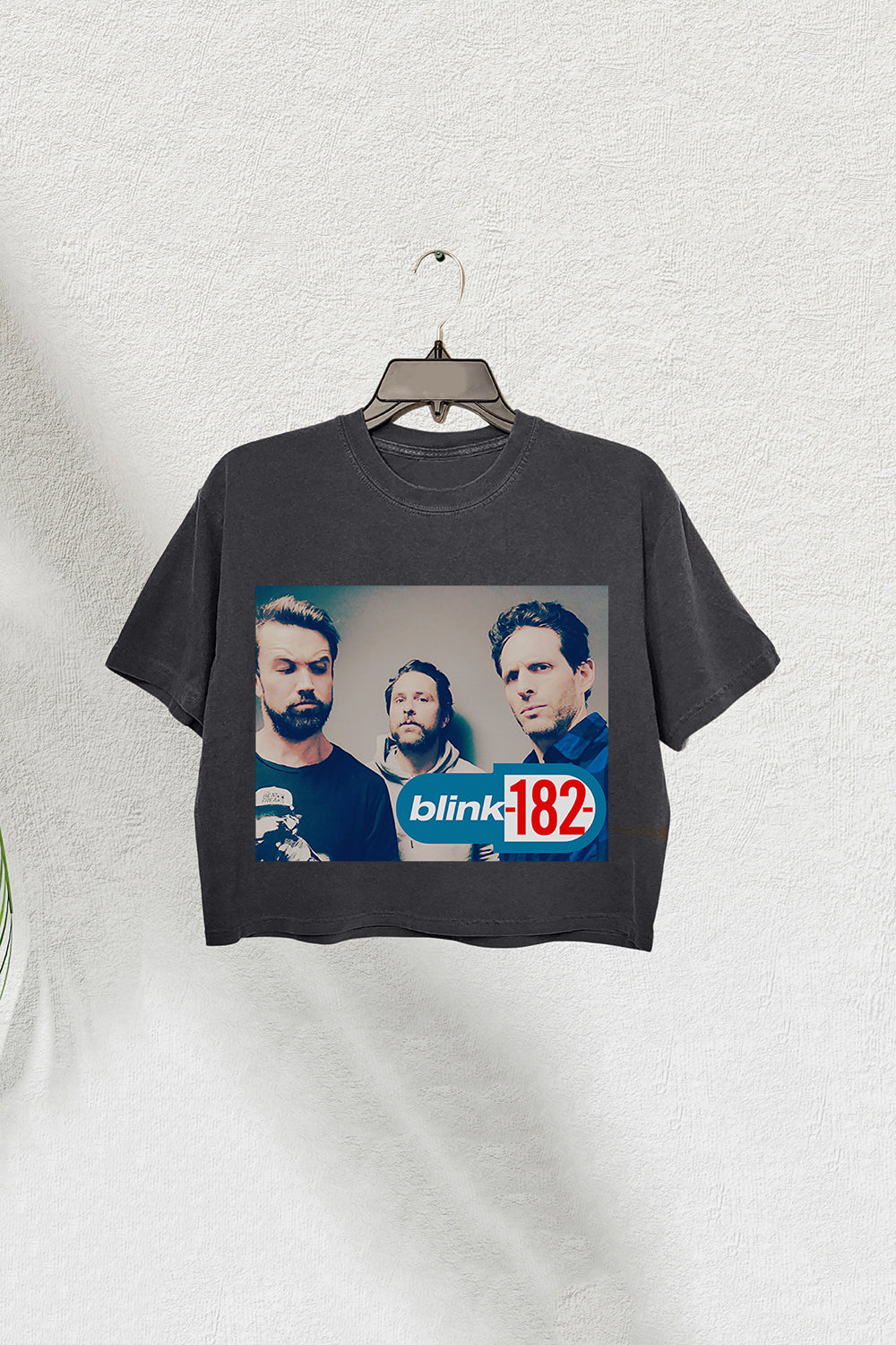 Blink 182 Meets It’s Always Sunny Women’s Crop Tee