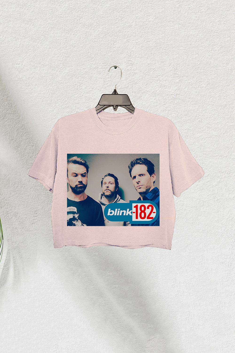Blink 182 Meets It’s Always Sunny Women’s Crop Tee