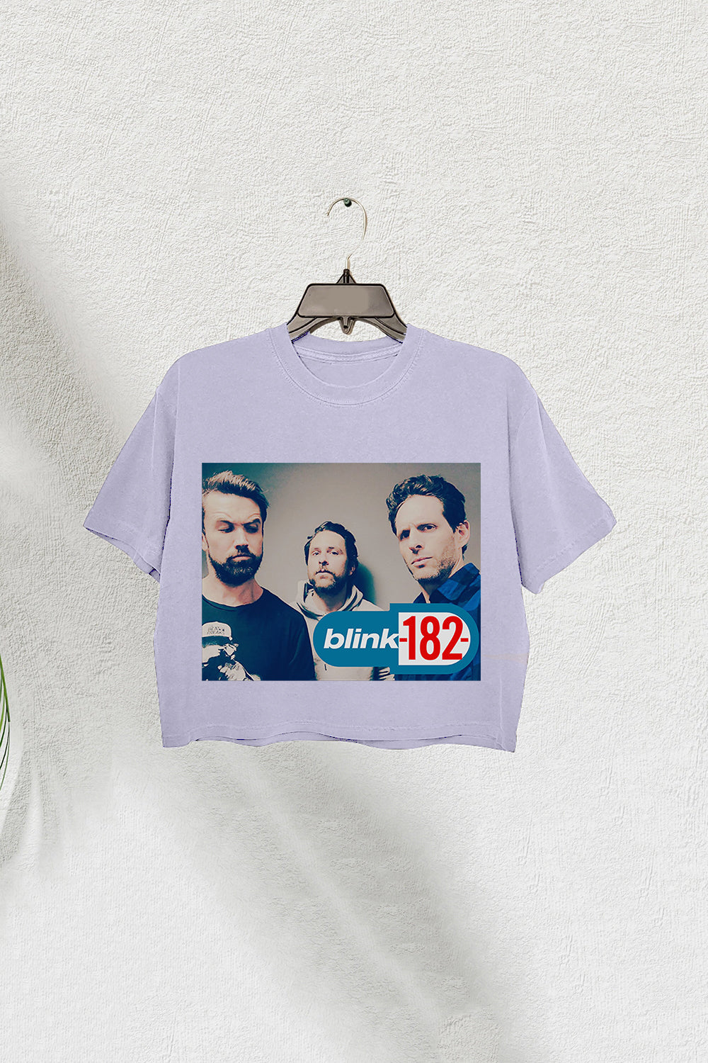 Blink 182 Meets It’s Always Sunny Women’s Crop Tee